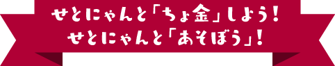 せとにゃんと貯金しよう！せとにゃんとあそぼう！