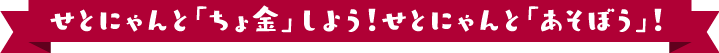 せとにゃんと貯金しよう！せとにゃんとあそぼう！