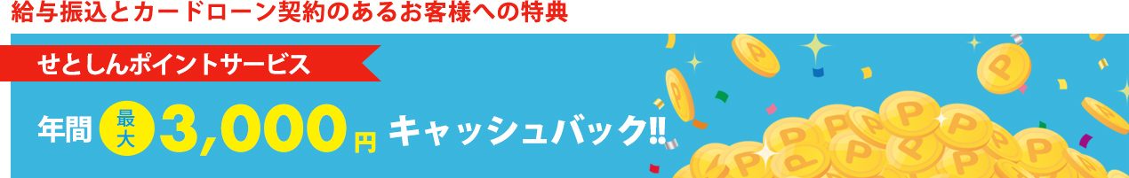 せとしんポイントサービス